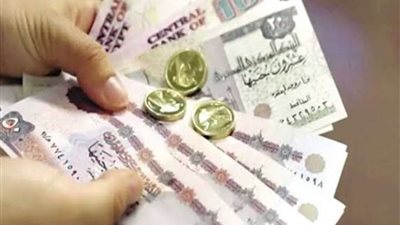 أستاذ تمويل: رفع الحد الأدني للأجور للقطاع الخاص يعود بشكل إيجابي على مجتمع الأعمال