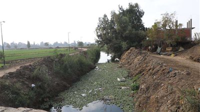 محافظ المنوفية يتفقد مستجدات مشروع مكتبة مصر العامة (صور)