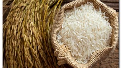 خاص| بعد تحقيق الاكتفاء الذاتي.. الحكومة تحظر زراعة الأرز في محافظات بداية الترع