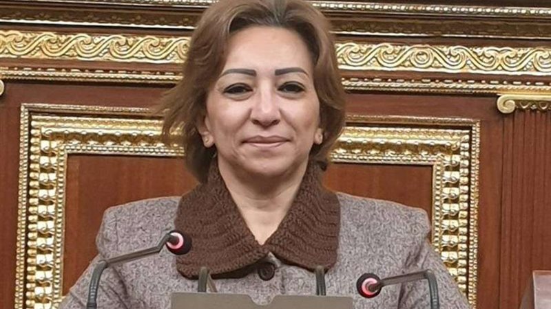 النائبة مها عبد الناصر