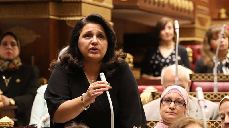 النائبة نيفين الأنطونى