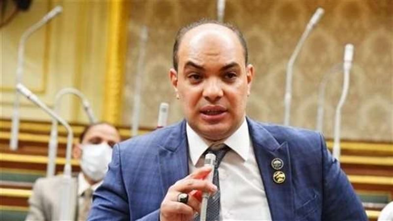 النائب علاء حمدي