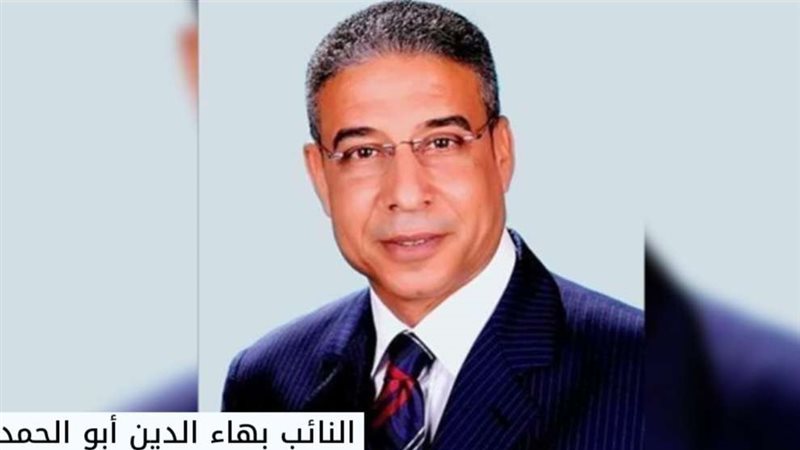 النائب بهاء الدين