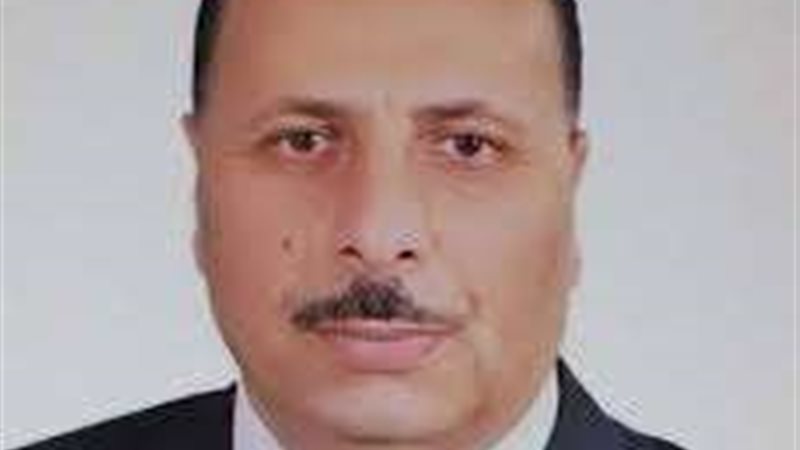الدكتور حمدي موافي