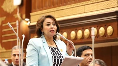 أمين سر «حقوق الإنسان» بالشيوخ: نرفض التهجير القسري للفلسطنيين ولن نسمح بتصفية القضية الفلسطينية