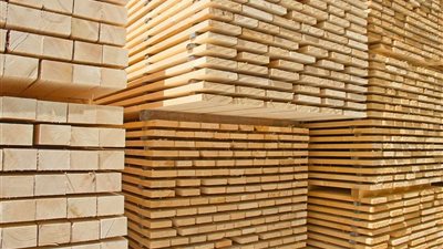 أسعار الأخشاب تشهد ارتفاعًا بسبب الدولار اليوم السبت 2023\12\23