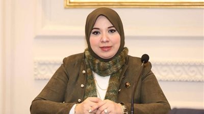 دينا هلالي: استكمال جلسات الحوار الوطني ترسيخ لمسيرة القيادة السياسية في دعم التحول الديمقراطى