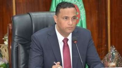 الجريدة الرسمية تنشر قرار رقم 530 لسنة 2023 حول تعديل المخطط التفصيلي لقرية طبنوها