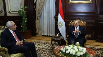 رئيس مجلس الشيوخ يستقبل السفير العراقي بمصر  أحمد نايف الدليمي