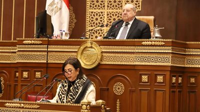 رئيس مجلس الشيوخ يهنئ الأقباط بمناسبة عيد الميلاد المجيد