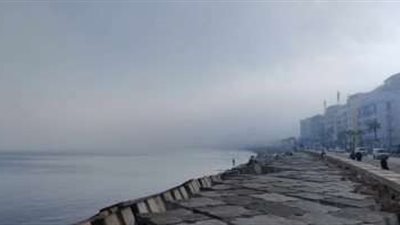 الأرصاد: غدًا طقس معتدل نهارًا.. وأمطار خفيفة على بعض المناطق