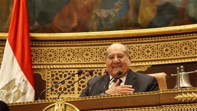 رئيس مجلس الشيوخ يرفع أعمال الجلسة العامة ويدعو للانعقاد 9 يناير