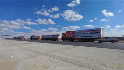 الحملة الشعبية لدعم فلسطين تعلن وصول ثاني قوافلها لغزة