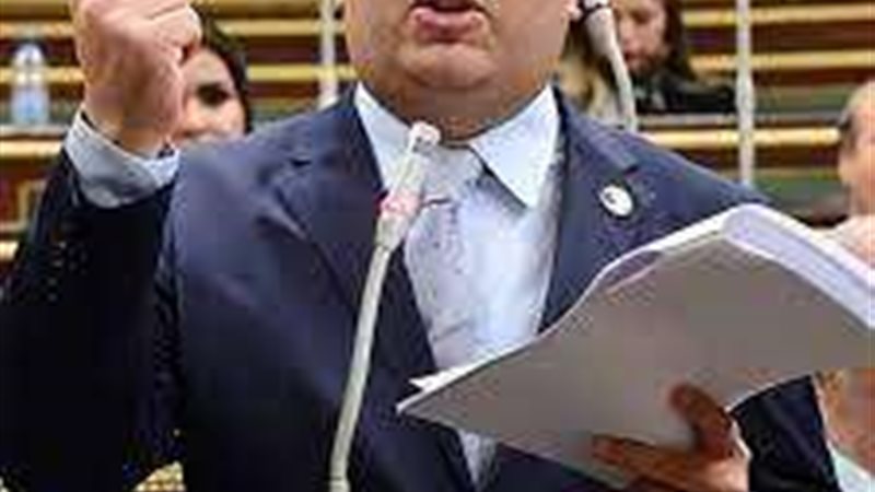 النائب احمد سعد نويصر