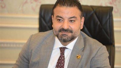 النائب محمد سلطان: تحويل السيارات للعمل بالغاز الطبيعي يسهم في تعميق وتوطين صناعة السيارات