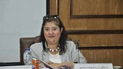 خاص| وكيل كلية النقل الدولي: وزارة النقل حاليا تقوم بتنفيذ بداية المرحلة الأولى من الخط التجاري العربي