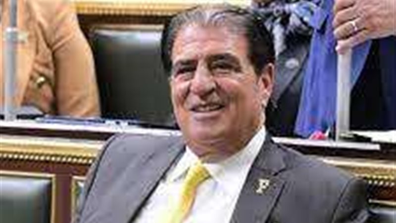 النائب أحمد فؤاد