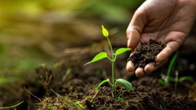 ماذا يريد الفلاحون من الحكومة الجديدة؟