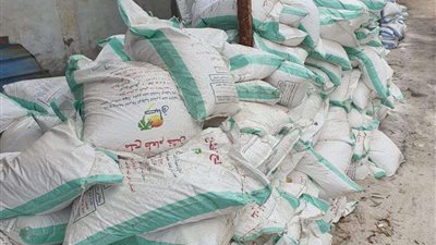 أسيوط.. ضبط 17 طن ملح غير صالح للاستخدام الآدمي داخل مخزن بمنفلوط