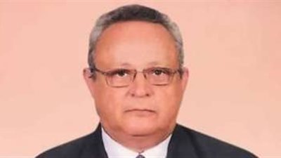 أحمد زايد: المجتمع المصري تعرض لتغيرات كبيرة منذ الستينيات