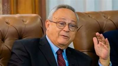 أحمد زايد: البيروقراطية ليست سيئة ولكننا نحن من أفسدناها