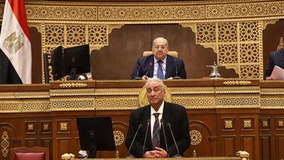 مجلس الشيوخ يوافق علي استقالة النائب سامح عاشور