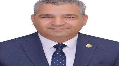 عياد رزق : القمة الثلاثية خطوة إيجابية نحو دعم القضية الفلسطينية ومصر لا تدخر جهدا في وقف إطلاق النار