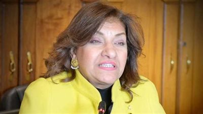 النائبة ايفلين متى: الكشف عن المقبلين على الزواج من غير المصريين  أمر إيجابى