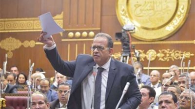 نائب برلمانية الوفد بـ