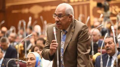 طاقة الشيوخ: فلسطين تتعرض لأبشع عدوان... وتوقيت قمة العقبة بالغ الحساسية