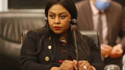 نائبة حماة الوطن: الرئيس السيسي وجه للعالم رساله علي قوة وترابط المصريين ووحدتهم في المحن والازمات