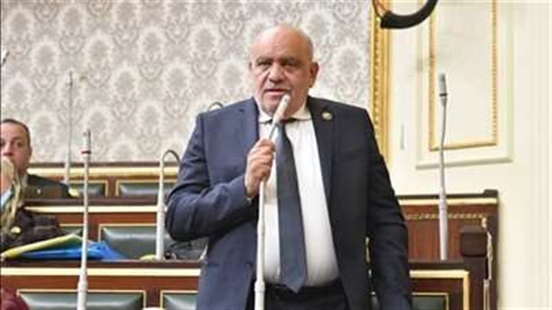 النائب السيد حنفي