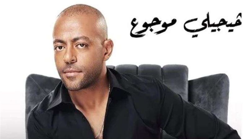 تامر عاشور
