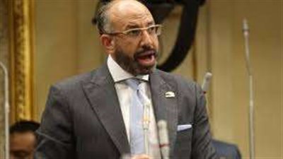 عاجل.. القضاء الإداري يستبعد حسام المندوه من منصب أمين الصندوق في الزمالك