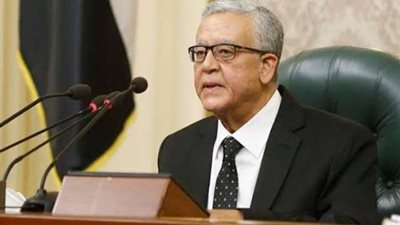 نشطاء يشكرون «النواب» لرفضه الفساد ورفع الحصانة عن الوليلي.. تفاصيل