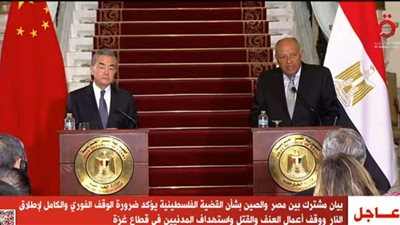 سامح شكري: إسرائيل تعرقل تدفق المساعدات الإنسانية إلى غزة