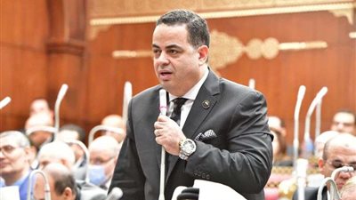 عصام هلال: مجلس النواب حريص على احترام تطبيق سيادة القانون والالتزام به