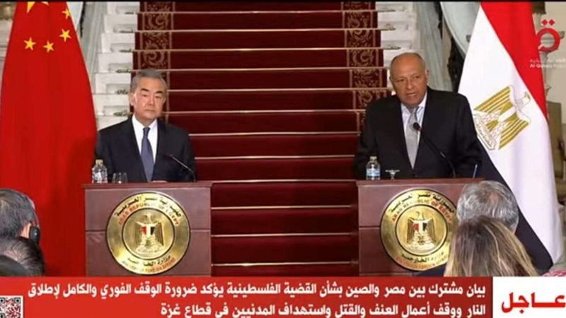 سامح شكري