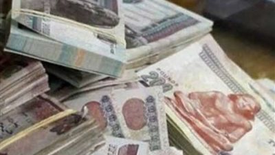 المالية تعلن عن بدء صرف رواتب العاملين خلال يناير الجاري