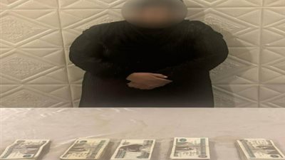 حبس سيدة وراء سرقة 5 حقائب من المواطنين بحدائق القبة