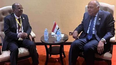 وزير الخارجية يبحث تطورات الأزمة السودانية مع نظيره الجيبوتي