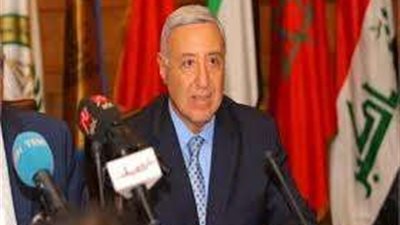 رئيس «الدستورية العليا»: المحكمة أرست 20 مبدأً.. منها الفصل بين سلطات الدولة