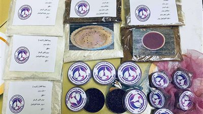 طالبات الاقتصاد المنزلي بتربية نوعية سوهاج يبدعون فى ابتكار وجبات غذائية صحية مستدامة تتوافق مع جهود الدولة لمواجهة التغيرات المناخية