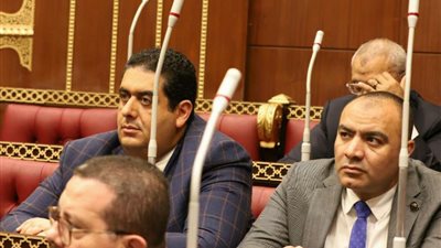 نواب الشيوخ يشيدون بإعلان الحكومة الخطة التنفيدية للحوار الوطني