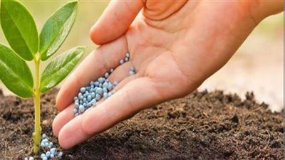 نقيب الفلاحين ينذر بارتفاع أسعار الأسمدة خلال الفترة المقبلة