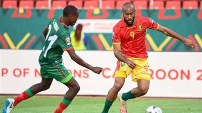«بعد مقتل 6 أشخاص».. غينيا تطالب جماهيرها بتقليل الاحتفالات بكأس أمم أفريقيا