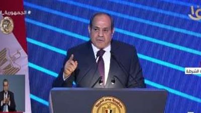 السيسي: محطات الكهرباء تستهلك غاز بـ مليار دولار شهريا