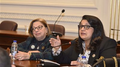 نيفين الأنطونى: تطالب بتسهيل إجراءات صرف أدوية مرضى الهيموفيليا لوضع حد لمعاناتهم