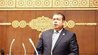 برلماني: عيد الشرطة فخر  لكل مصري.. سطرت أروع الأمثلة في التضحية