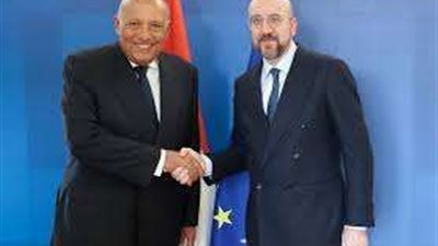 وزير الخارجية يلتقي برئيس لجنة العلاقات الخارجية بالبرلمان الأوروبي